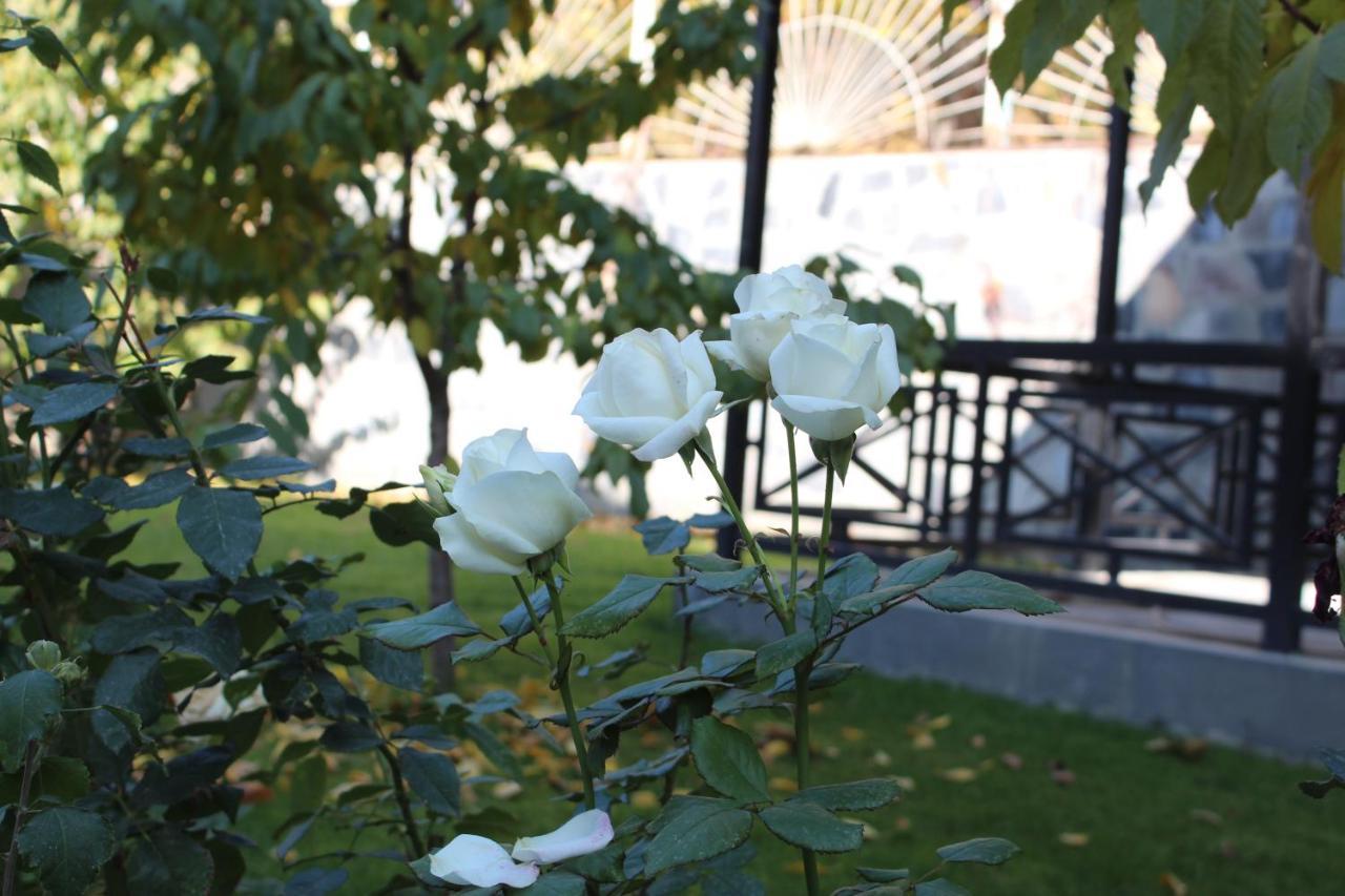 Cherry Garden Boutique Hotel Yeghegnadzor Eksteriør bilde